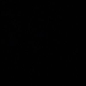 Meet your Posher, Alejandro